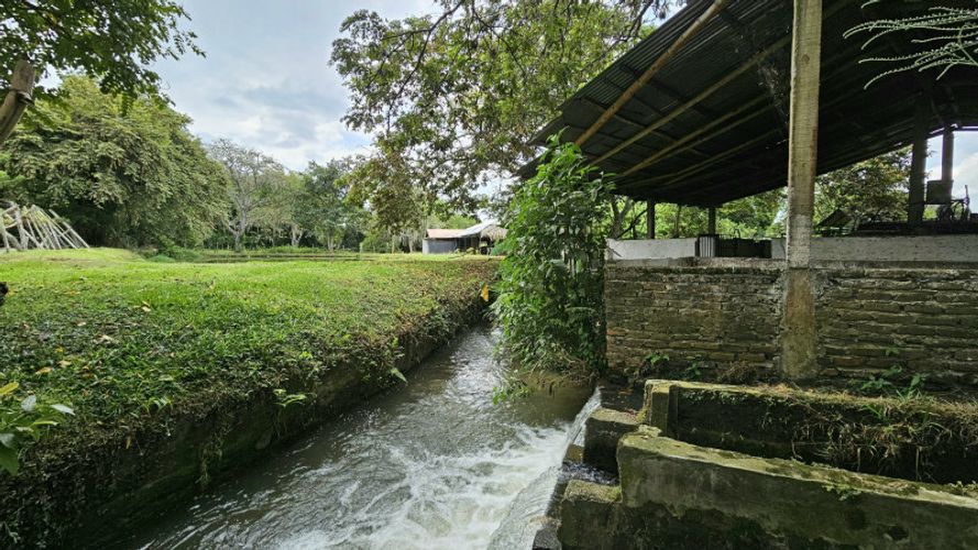 Finca en Arriendo en La selva, Ginebra - Miniatura 11