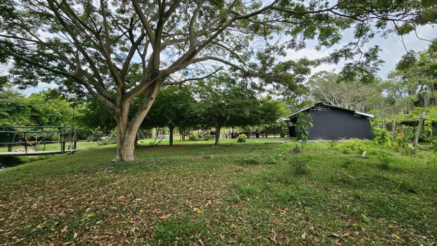 Finca en Arriendo en La selva, Ginebra - Miniatura 13