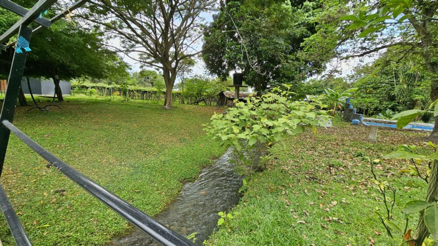 Finca en Arriendo en La selva, Ginebra - Miniatura 16