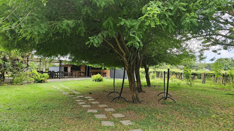 Finca en Arriendo en La selva, Ginebra - Miniatura 19