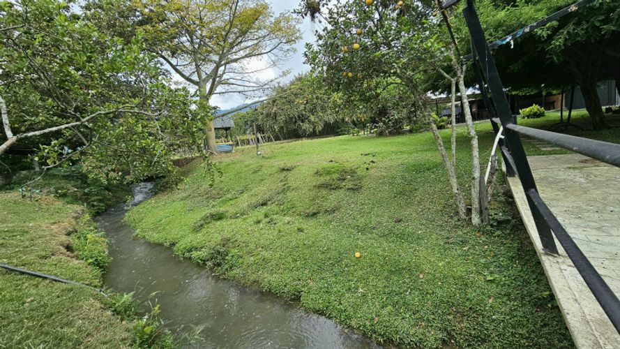 Finca en Arriendo en La selva, Ginebra - Miniatura 21