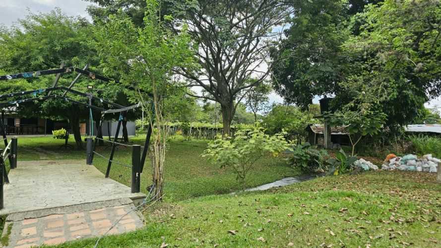 Finca en Arriendo en La selva, Ginebra - Miniatura 23