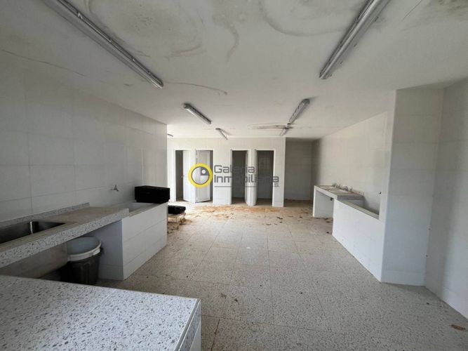 Finca en Arriendo en Carrizal, Los santos - Miniatura 7