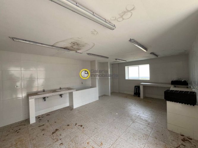 Finca en Arriendo en Carrizal, Los santos - Miniatura 8