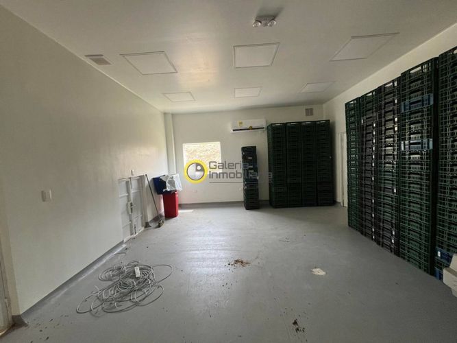 Finca en Arriendo en Carrizal, Los santos - Miniatura 19