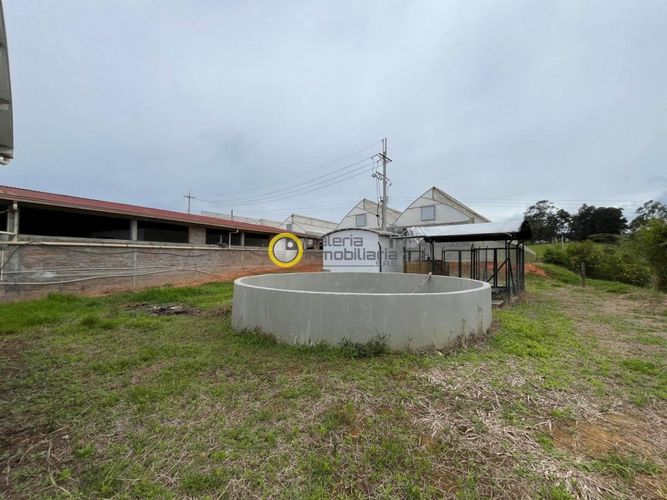 Finca en Arriendo en Carrizal, Los santos - Miniatura 20