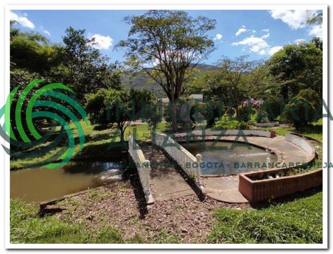 Finca en venta en Guatiguara, Piedecuesta - Miniatura 12