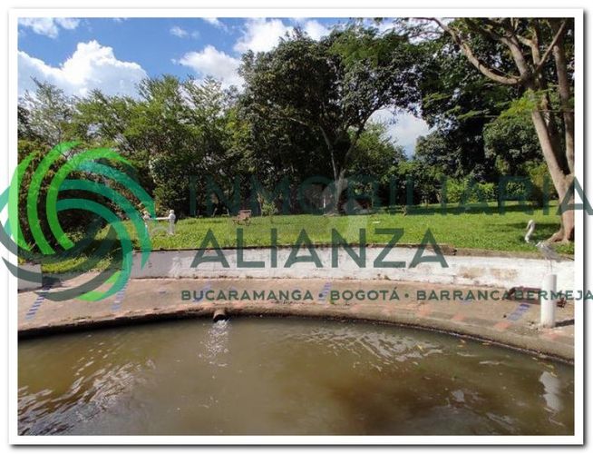 Finca en venta en Guatiguara, Piedecuesta - Miniatura 13