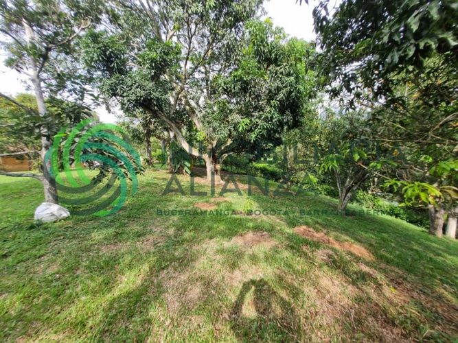 Finca en venta en Floridablanca - Miniatura 20