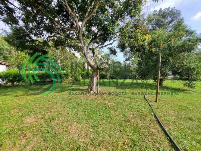 Finca en venta en Floridablanca - Miniatura 22