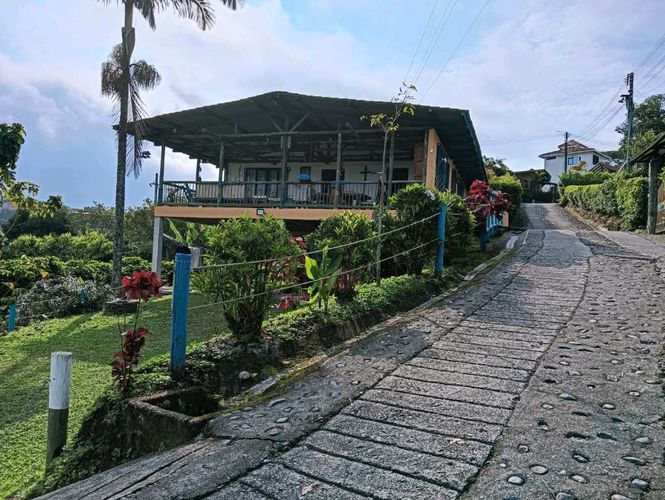 Finca en Arriendo en Palestina - Imagen 1