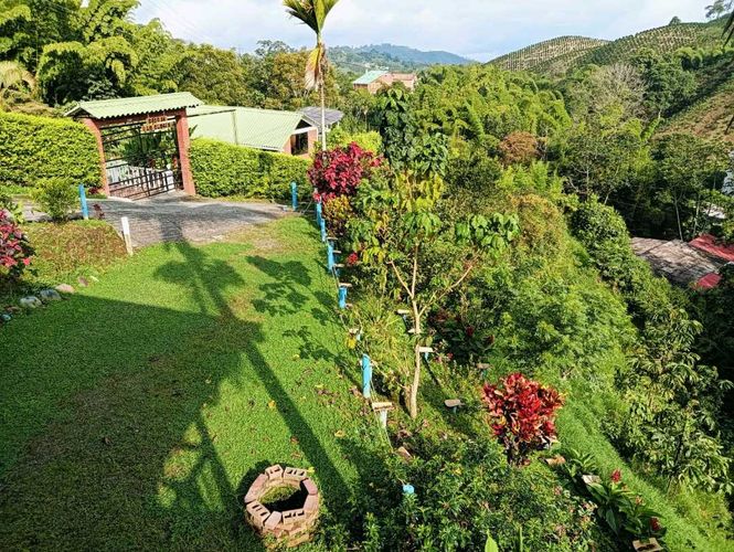 Finca en Arriendo en Palestina - Miniatura 6