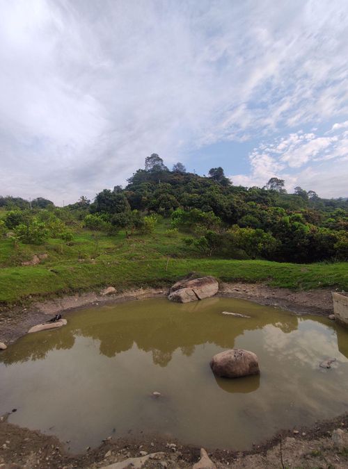 Finca en Arriendo en San antonio del tequendama - Miniatura 7