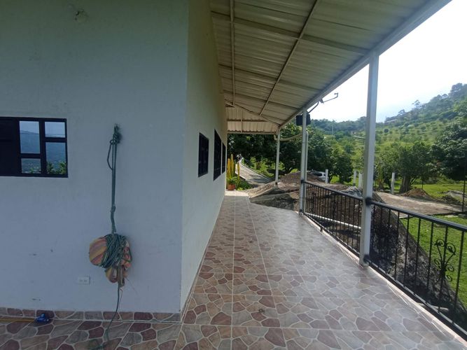 Finca en Arriendo en San antonio del tequendama - Miniatura 20