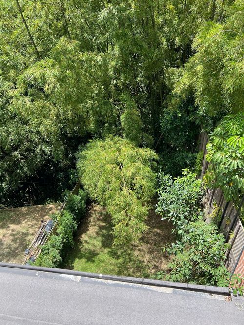 Casa en Arriendo en Envigado - Miniatura 15