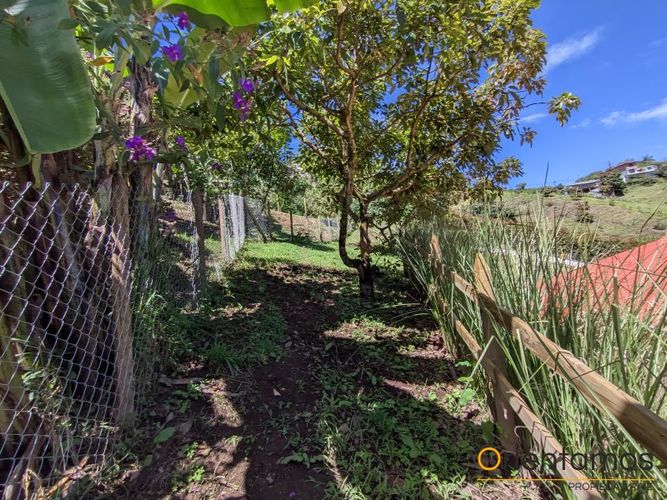 Finca en Arriendo en Centro, Rionegro - Miniatura 21