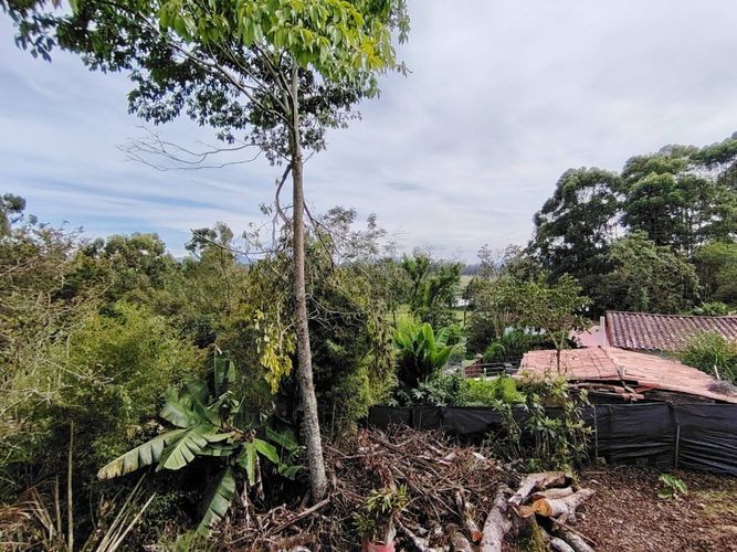 Finca en  Arriendo en Barro blanco, Rionegro - Miniatura 21