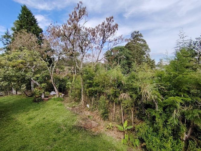 Finca en  Arriendo en Barro blanco, Rionegro - Miniatura 22