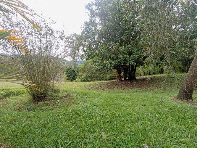 Finca en  Arriendo en Los salados, El Retiro - Miniatura 25