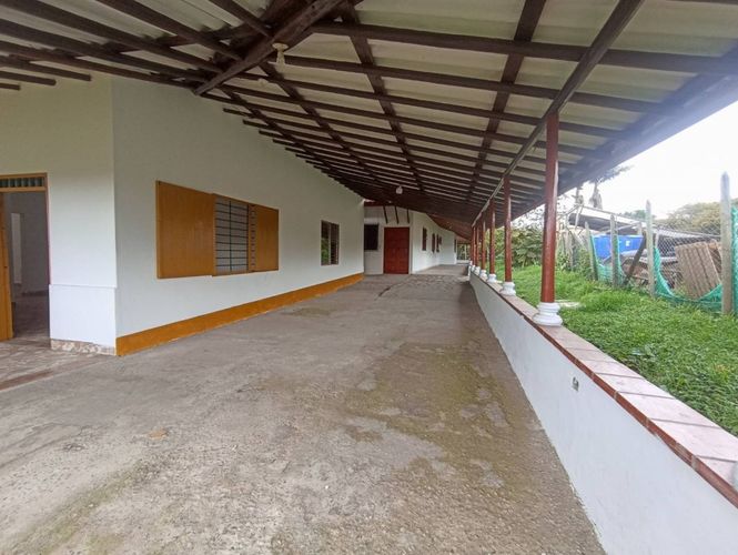 Finca en  Arriendo en El tambo, La ceja - Miniatura 7