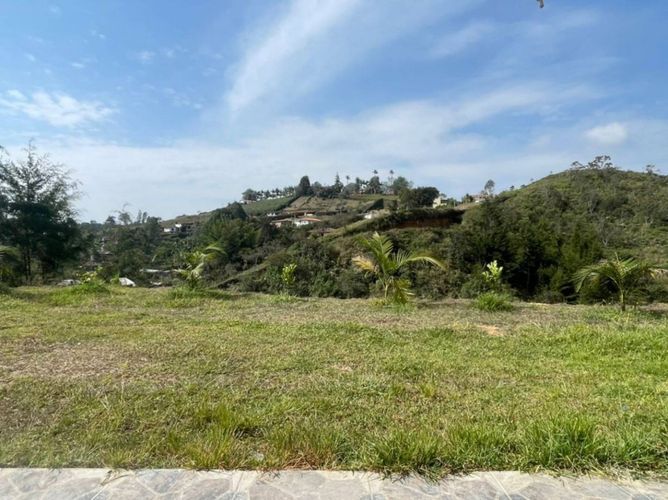 Finca en Arriendo en San luis, Rionegro - Miniatura 12