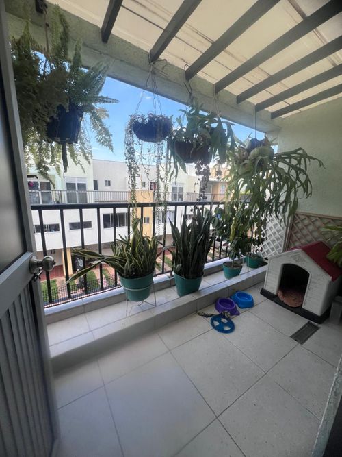 Casa en Arriendo en Sachamate, Jamundí - Miniatura 15