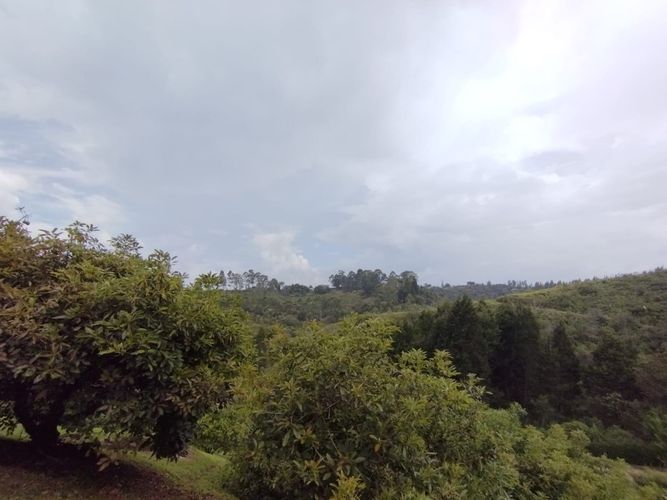 Finca en Arriendo en Toldas, Guarne - Miniatura 3
