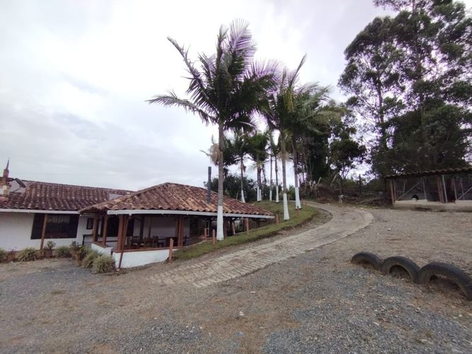 Finca en Arriendo en Toldas, Guarne - Miniatura 9