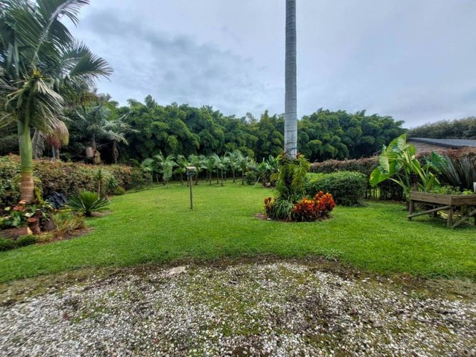 Finca en Arriendo en El tambo, El carmen de viboral - Miniatura 3