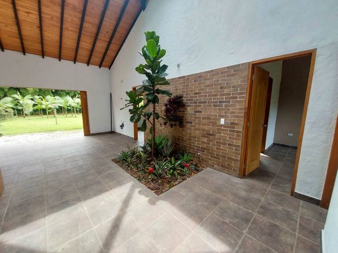 Finca en Arriendo en El tambo, El carmen de viboral - Miniatura 6