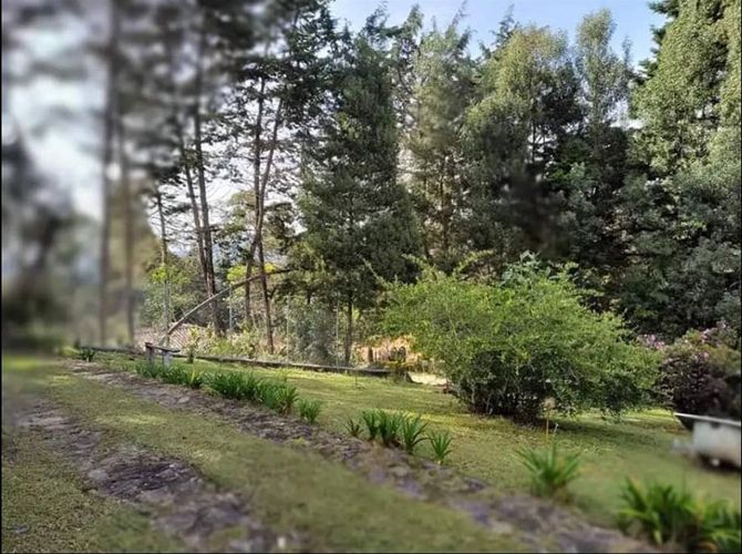 Finca en Arriendo en Santa Elena, Medellín - Miniatura 2