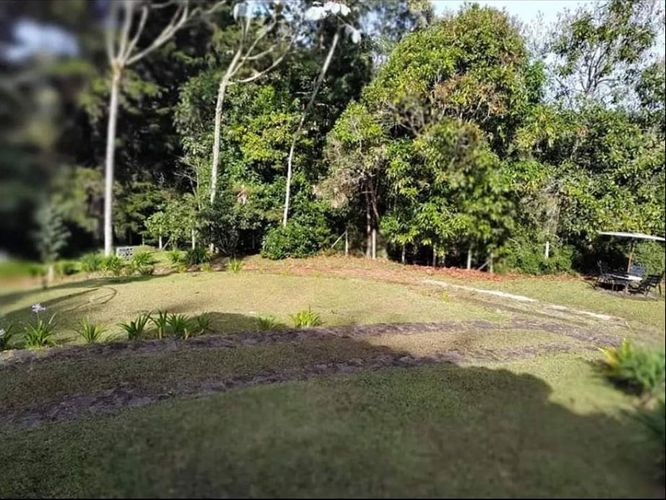 Finca en Arriendo en Santa Elena, Medellín - Miniatura 3