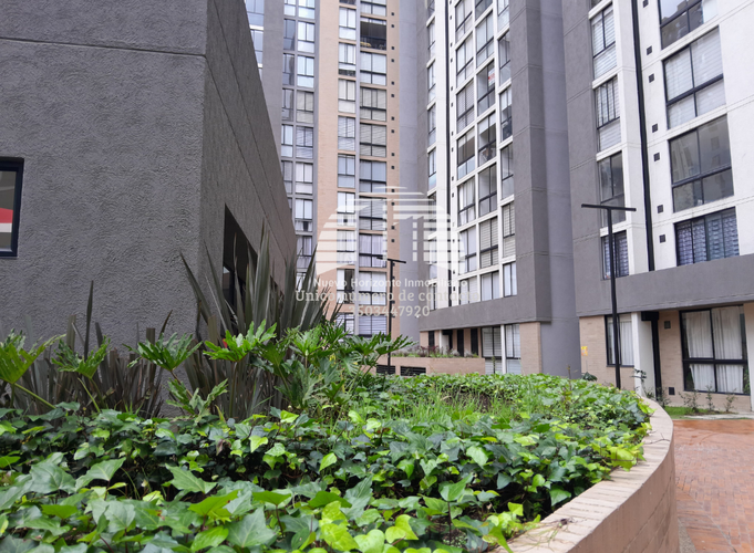 Apartamento en Arriendo en Colina Campestre, Bogotá - Miniatura 17