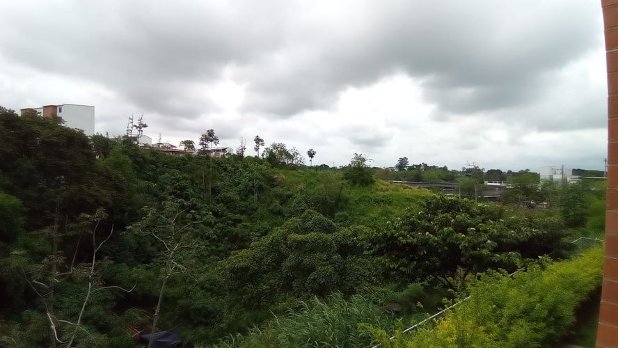 Apartamento en Arriendo en Pereira - Miniatura 7