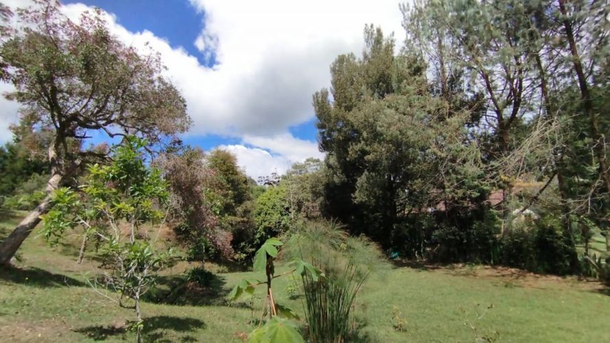 Finca en Arriendo en Piedras blancas, Guarne - Miniatura 10