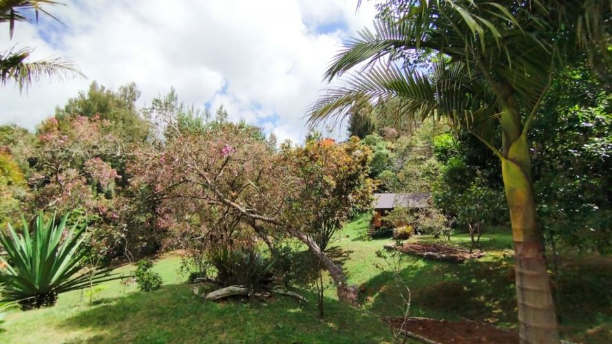 Finca en Arriendo en Piedras blancas, Guarne - Miniatura 11