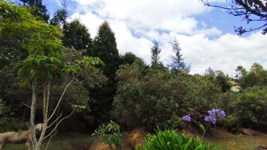 Finca en Arriendo en Piedras blancas, Guarne - Miniatura 12