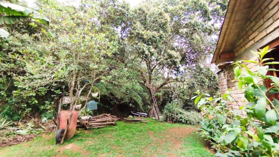Finca en Arriendo en Piedras blancas, Guarne - Miniatura 14
