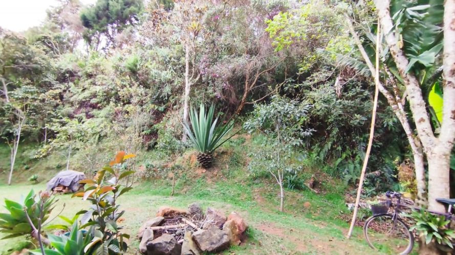 Finca en Arriendo en Piedras blancas, Guarne - Miniatura 15