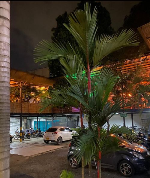 Oficina en Arriendo en Ciudad jardin, Cali - Miniatura 10