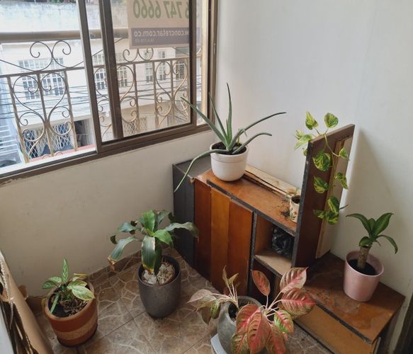 Apartaestudio en Arriendo en Santo domingo, Cali - Miniatura 15