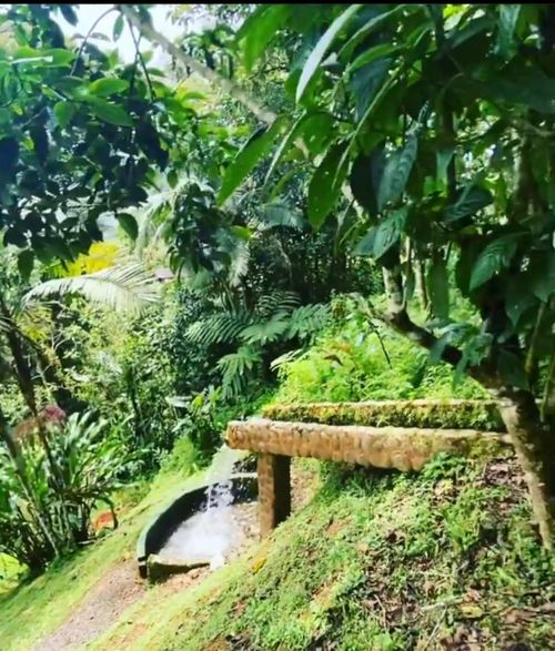 Finca en arriendo en El carmen, Dagua - Miniatura 22