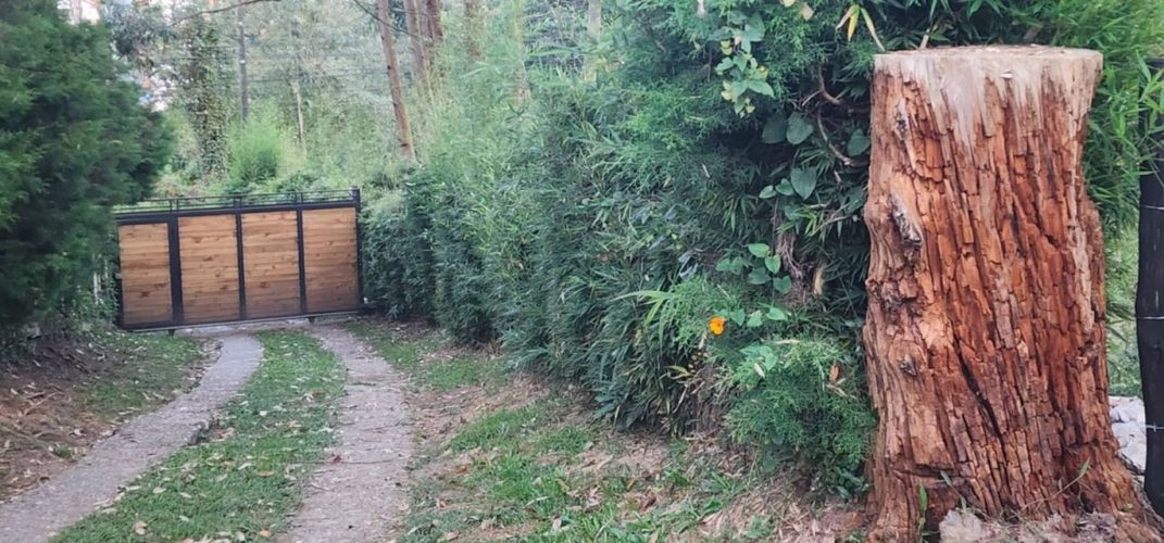 Finca en Arriendo en Cimarronas, Rionegro - Miniatura 19