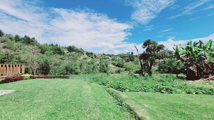 Finca en  Arriendo en Rionegro - Miniatura 4