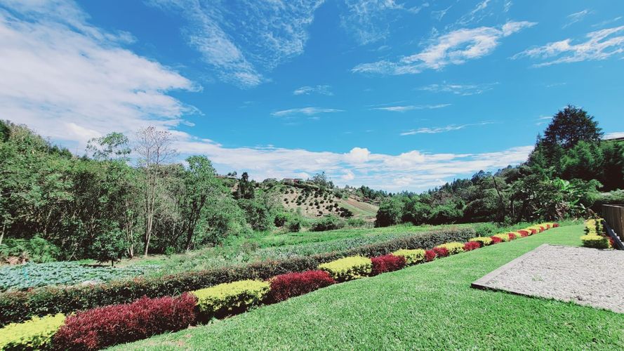 Finca en  Arriendo en Rionegro - Miniatura 23