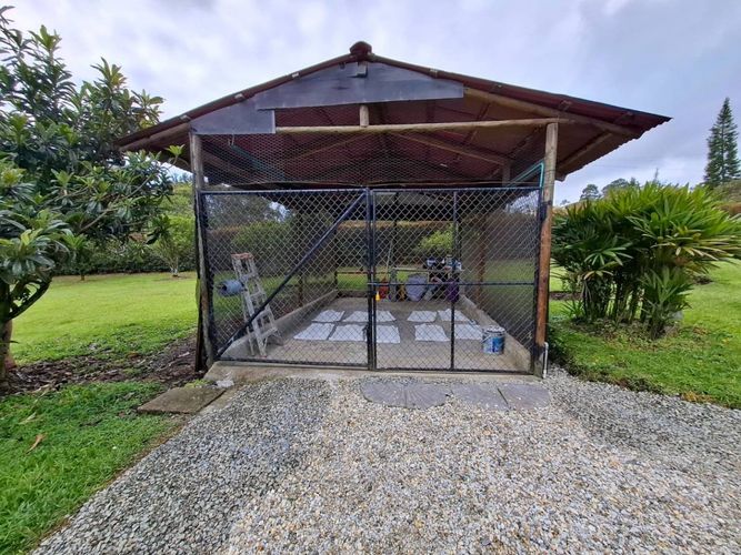 Finca en Arriendo en El Tablazo, Rionegro - Miniatura 28