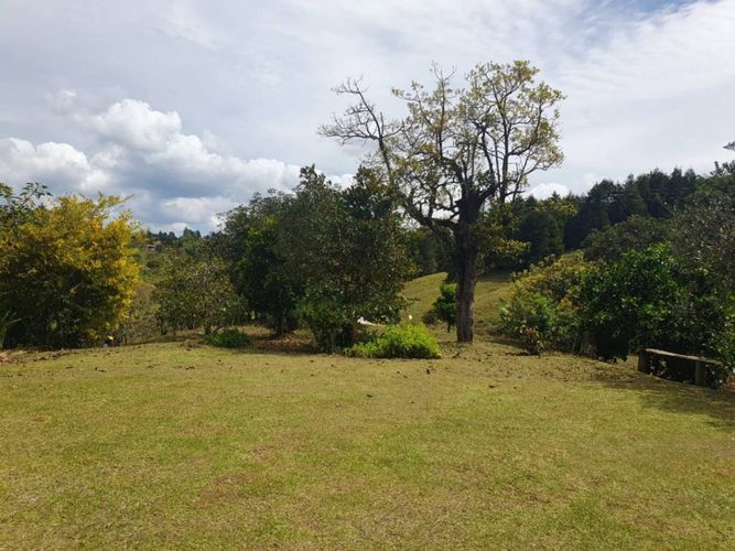 Finca en Arriendo en El carmin, Rionegro - Miniatura 27