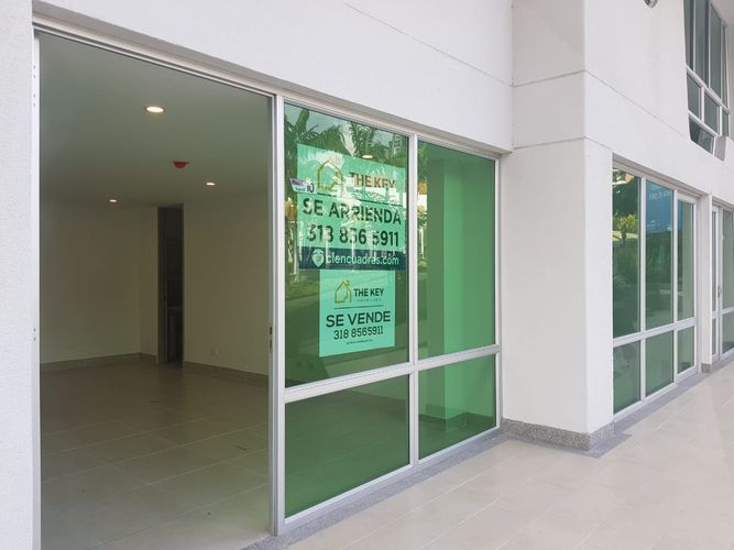 Local en Arriendo en Avenida 19 Norte, Armenia - Miniatura 11