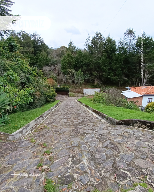 Finca en Arriendo en San jose, Guarne - Miniatura 2