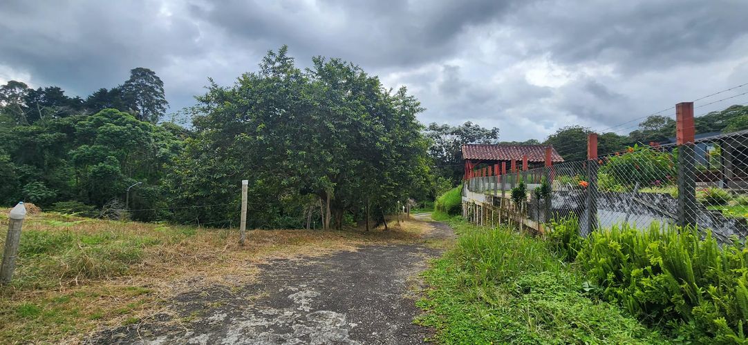 Finca en Arriendo en Circasia - Miniatura 4